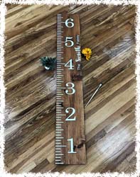 Growth Chart 11"x72" $65